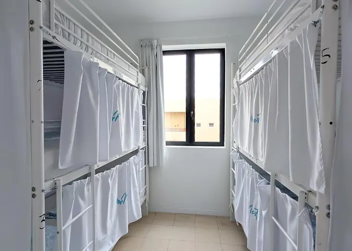 Palmas Nest *