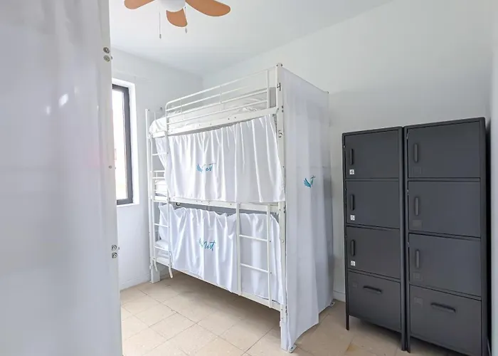 Palmas Nest *